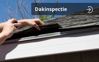 Dakinspectie